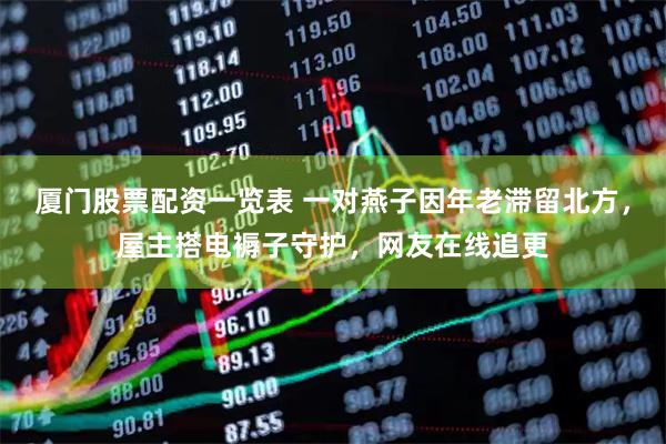 厦门股票配资一览表 一对燕子因年老滞留北方，屋主搭电褥子守护，网友在线追更